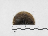 登錄號:F0026978藏品圖，第1張