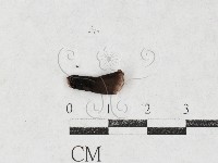 登錄號:F0026979藏品圖，第1張