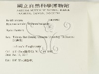 登錄號:F0026980藏品圖，第2張