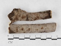 登錄號:F0026982藏品圖，第1張