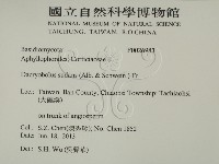 登錄號:F0026983藏品圖，第2張