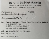 登錄號:F0026986藏品圖，第2張