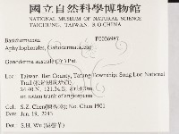 登錄號:F0026987藏品圖，第2張