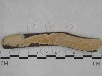 登錄號:F0026988藏品圖，第1張