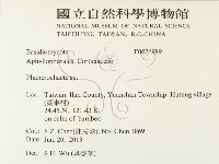 登錄號:F0026989藏品圖，第2張