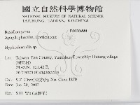 登錄號:F0026990藏品圖，第2張