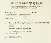 木層孔菌屬藏品圖，第2張