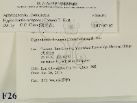 登錄號:F0026993藏品圖，第2張