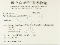 射脈菌屬藏品圖，第2張