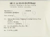 刺皮菌屬藏品圖，第2張