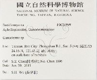 登錄號:F0026999藏品圖，第2張