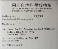 登錄號:F0027000藏品圖，第2張