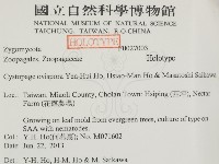 登錄號:F0027003藏品圖，第2張