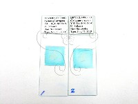 登錄號:F0027003藏品圖，第1張