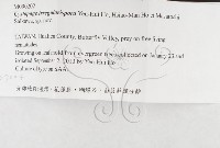 登錄號:F0027004藏品圖，第3張