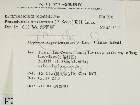 登錄號:F0027005藏品圖，第2張