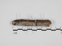 登錄號:F0027005藏品圖，第1張