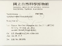 筍殼菌屬藏品圖，第2張