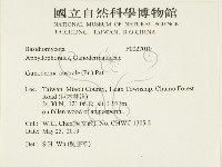 登錄號:F0027010藏品圖，第2張