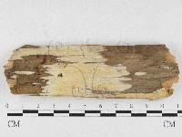 登錄號:F0027012藏品圖，第1張