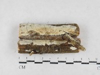 登錄號:F0027013藏品圖，第1張