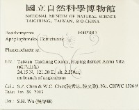 顯絲菌屬藏品圖，第2張