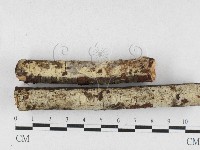 登錄號:F0027018藏品圖，第1張