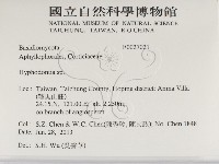 絲齒菌屬藏品圖，第2張