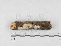 登錄號:F0027022藏品圖，第1張