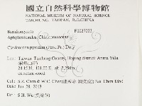 登錄號:F0027023藏品圖，第2張