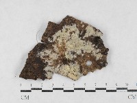 登錄號:F0027025藏品圖，第1張