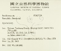 登錄號:F0027029藏品圖，第2張