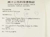 絲皮菌屬藏品圖，第2張