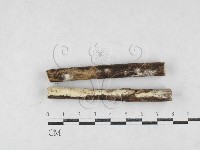 登錄號:F0027033藏品圖，第1張