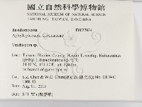 登錄號:F0027034藏品圖，第2張