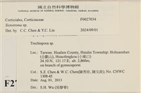登錄號:F0027034藏品圖，第3張