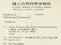 革菌屬藏品圖，第2張