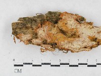 登錄號:F0027037藏品圖，第1張