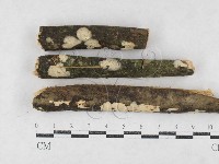 登錄號:F0027042藏品圖，第1張