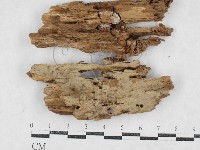 登錄號:F0027045藏品圖，第1張