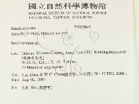 齒耳菌屬藏品圖，第2張