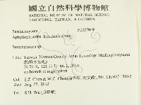 齒耳菌屬藏品圖，第2張