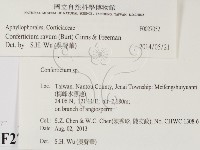登錄號:F0027052藏品圖，第2張