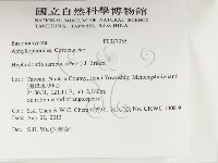 冇骨消絲齒菌藏品圖，第2張