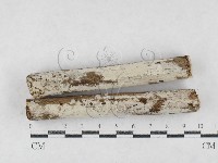 登錄號:F0027059藏品圖，第1張