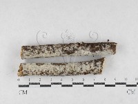 登錄號:F0027062藏品圖，第1張