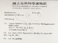 登錄號:F0027064藏品圖，第2張