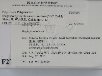 登錄號:F0027065藏品圖，第2張