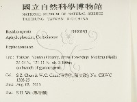 絲齒菌屬藏品圖，第2張