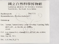 集毛菌屬藏品圖，第2張